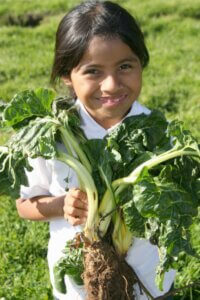 Happy student showing off chard roots, stems and leaves at a Pajaro Valley, California elementary school.