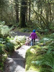 THE BOTANICAL CITY: Could where you live become the most nature-rich city in the world? Part 1