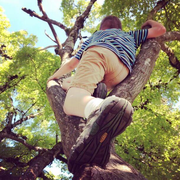 Child climbing a tree.