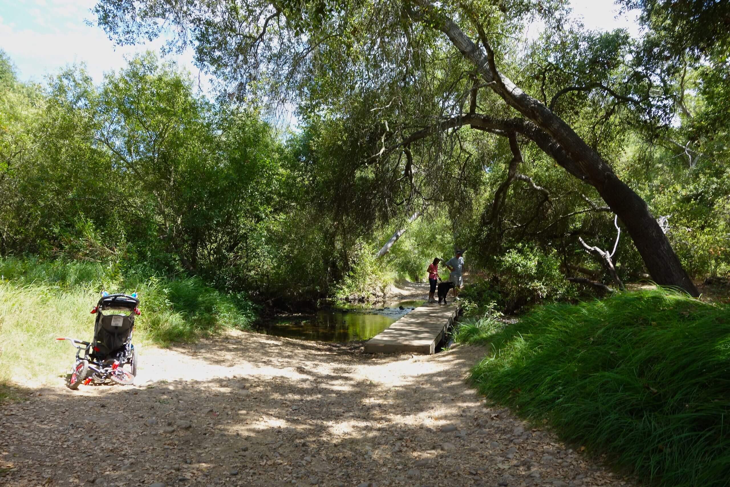 Family walking down path by river with infant.