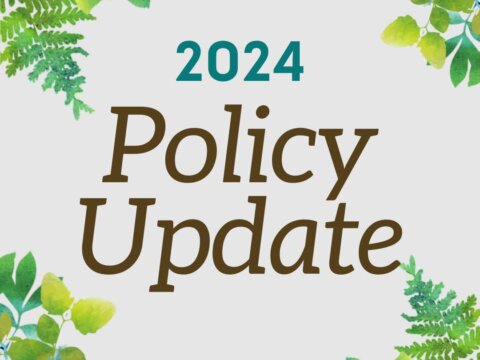Policy and advocacy for the children and nature movement