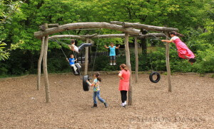 Kids on wooden monkey-bars and tire-swings.