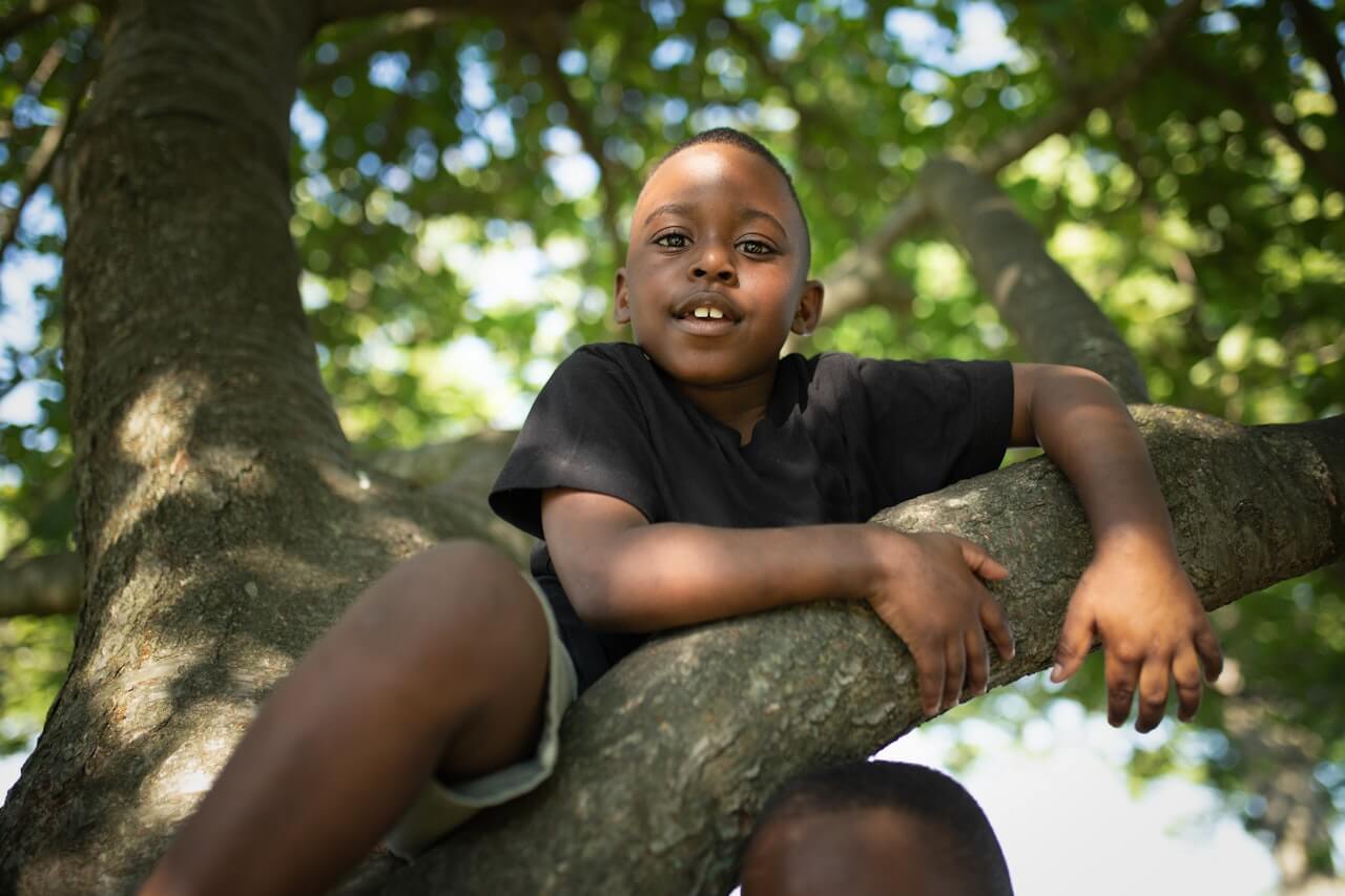 A young boy in a black t-shirt sits comfortably on a tree branch, surrounded by lush green leaves and dappled sunlight. He looks at the camera with a relaxed expression, his arms resting on the branch. The background is a blur of green foliage, indicating a sunny day.