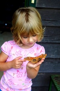 Girl holding butterfly.