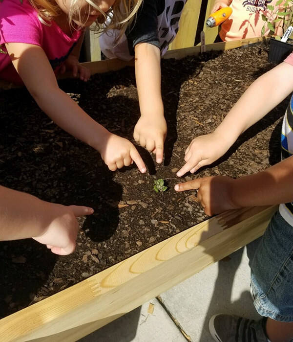 Children observe a tiny potato sprout at The Children’s Courtyard. Photo courtesy of Smart Start of New Hanover County.