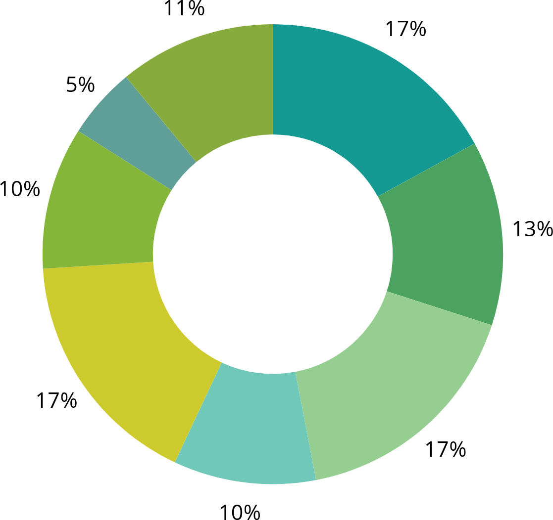Graph: 17% Green Schoolyards, 13% Early Childhood Nature Connection, 17% Youth Leadership Development, 10% Enhancing Public Spaces with Nature, 17% Nature Exploration Areas, 10% Out of School Time, 5% Children's Outdoor Bills of Rights, 11% Other