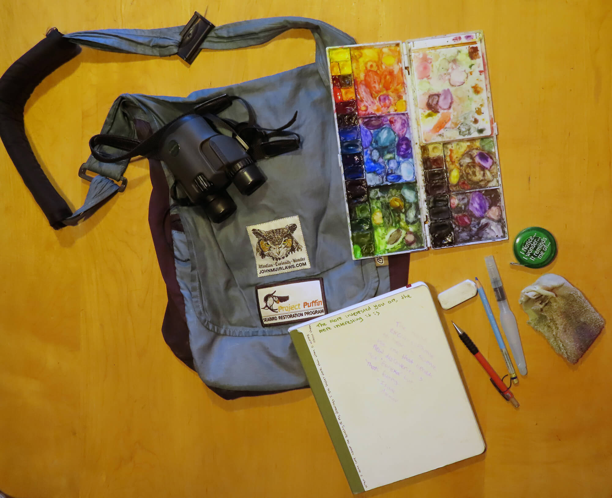 Keeping a Nature Journal with Sherrie York - Farnsworth Art Museum