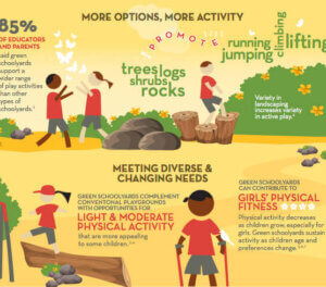 Green Schoolyards and Physical Activity