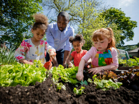 Rich soil: The economic benefits of green schoolyards