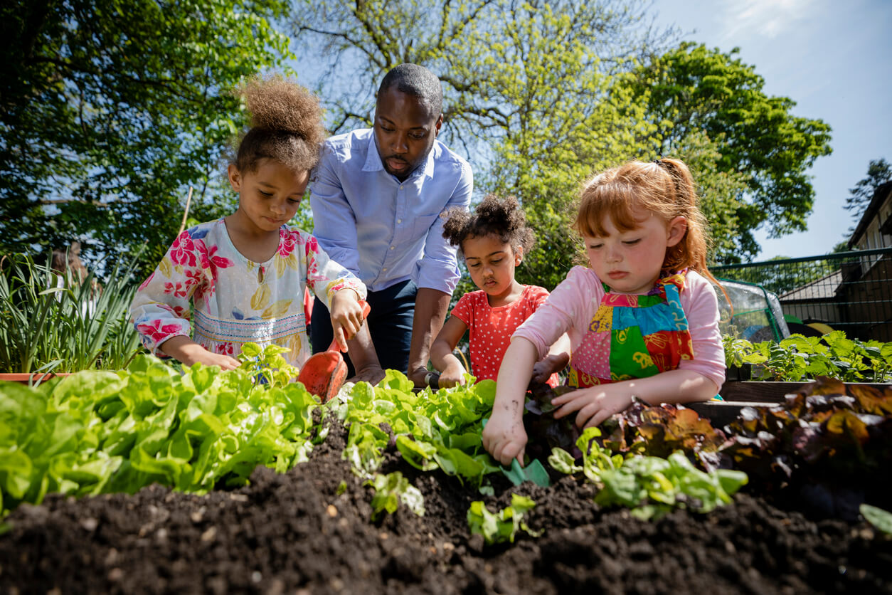 Rich soil: The economic benefits of green schoolyards