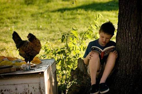 Boy reading by tree with chicken hearby.