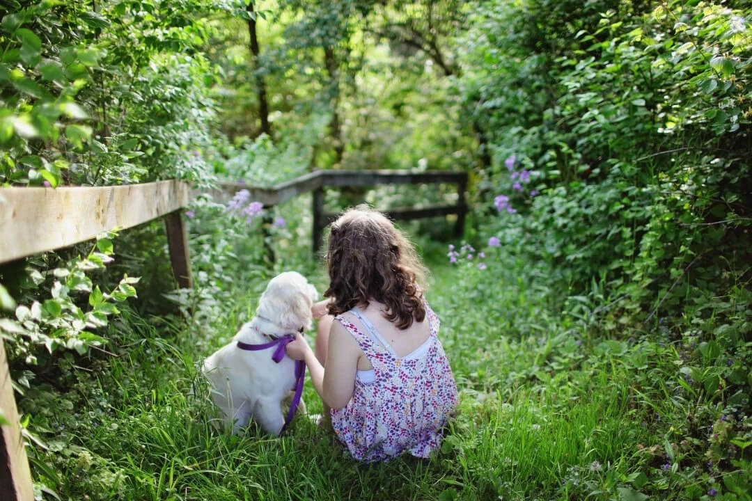 child with dog on grassy path in the woods