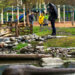 Implementing Green Stormwater Infrastructure on Schoolyards