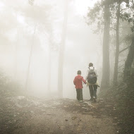 Children walking down foggy path in a forest.